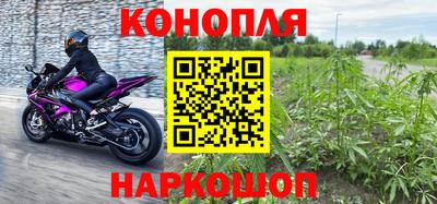 apvp Аша