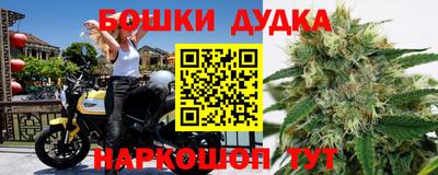 apvp Аша