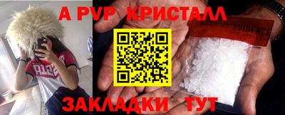 apvp Аша