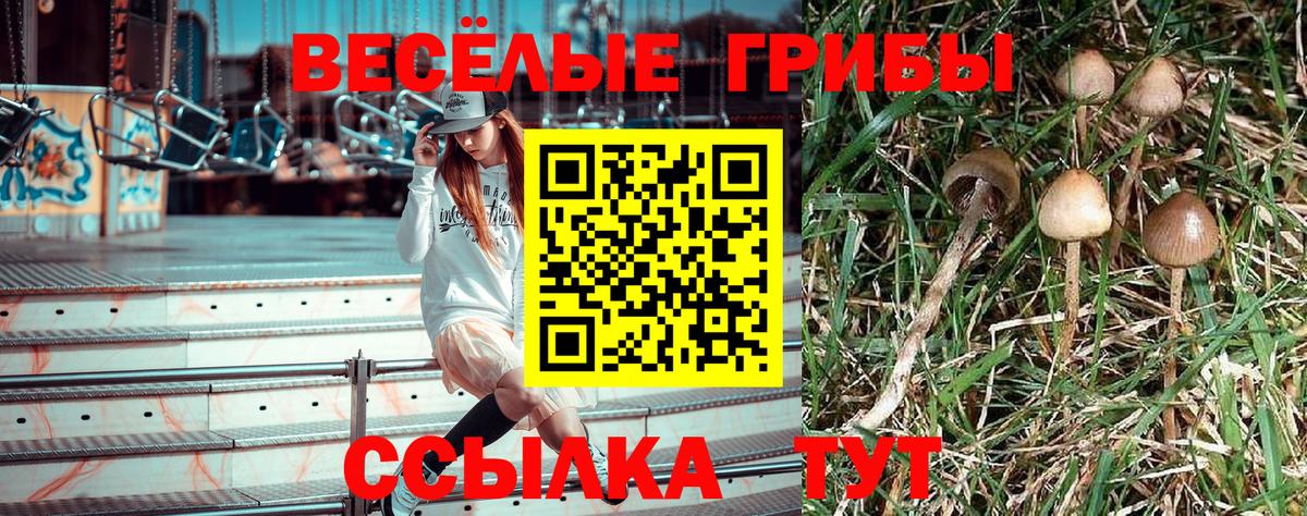 Галлюциногенные грибы ЛСД  Вход с VPN  хочу наркоту  Воронеж 